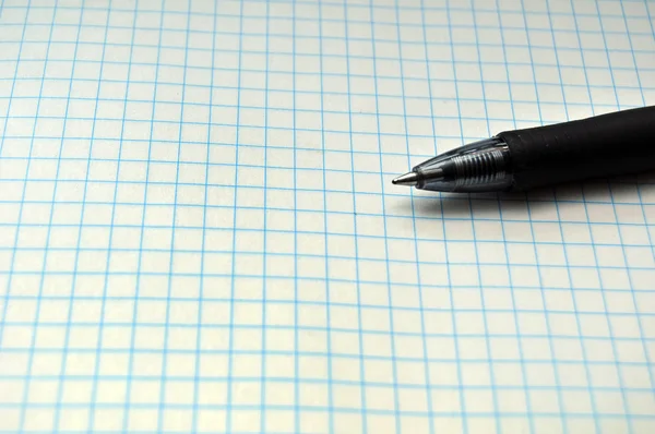 Blank Grid Paper Pen Resting Top Copy Space Left — Stock Photo, Image
