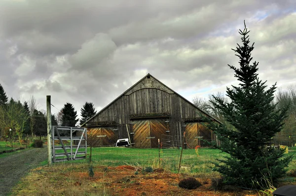 Velho celeiro de madeira rural com árvore e calçada — Fotografia de Stock