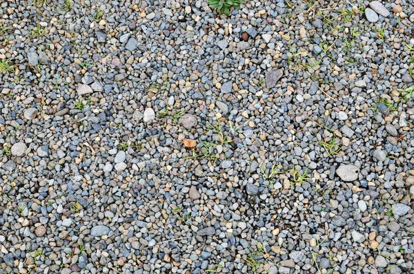 Grigio Rocce sfondo texture con un po 'di erba — Foto Stock