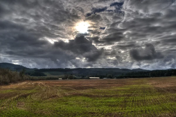 Campo de grama vazio com o sol explodindo através de uma cobertura de nuvem nublada escura — Fotografia de Stock