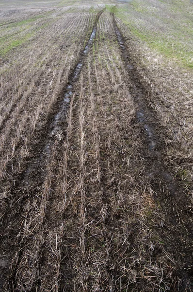 Muddy Tire Tracks Trail Dug Agriculture Cultivated Farm Land Field — Stock Photo, Image