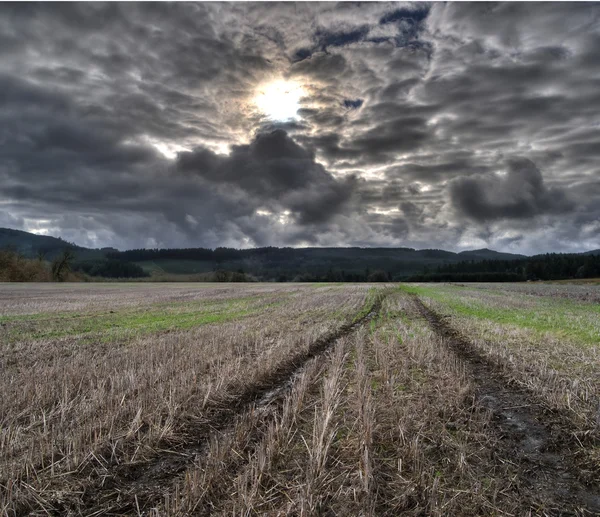 Pistes de pneus Sentier creusé dans un champ de terres agricoles cultivées — Photo