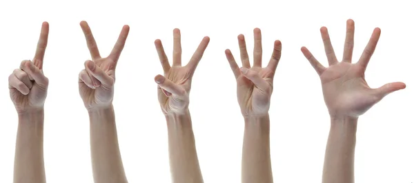 Één twee drie vier vijf vinger handen tellen — Stockfoto
