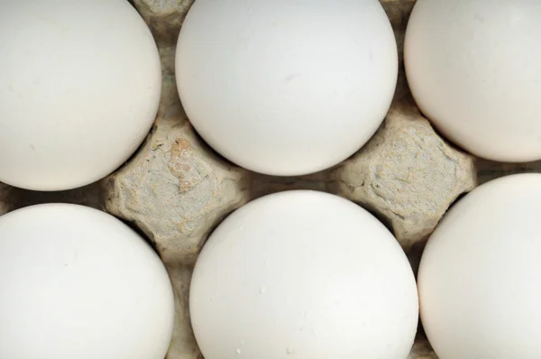 Nahaufnahme Von Sechs Weißen Neuen Eiern Einem Karton — Stockfoto