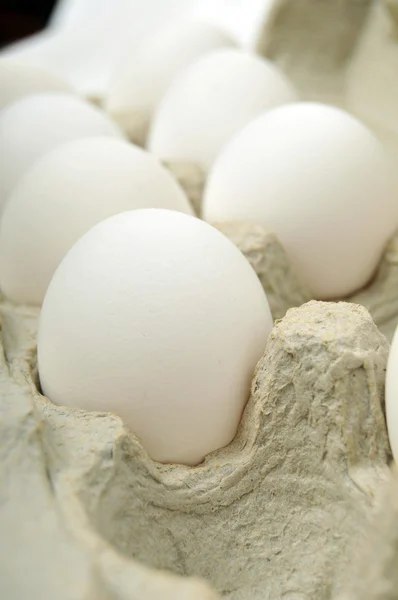 Eier abstrakt — Stockfoto