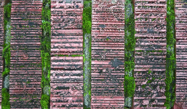 Ladrillos Rojos Antiguos Muy Ásperos Con Hongos Verdes Musgo Musgoso —  Fotos de Stock