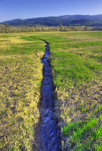 Wąskie Wody Rzeka Strumień Przechodzi Pejzaż Pole Trawa Zielony — Zdjęcie stockowe
