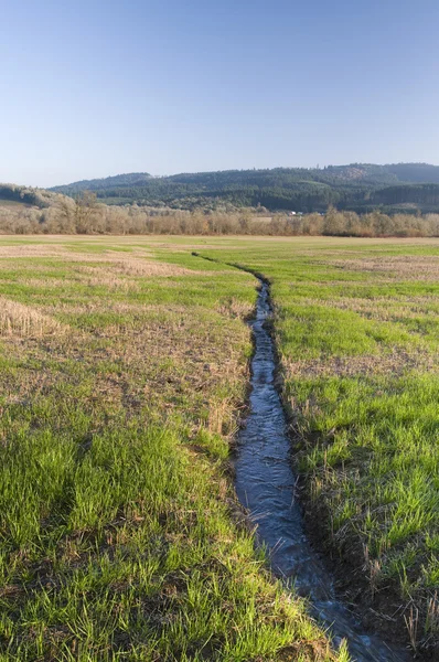Wasserfluss in der Landwirtschaft — Stockfoto