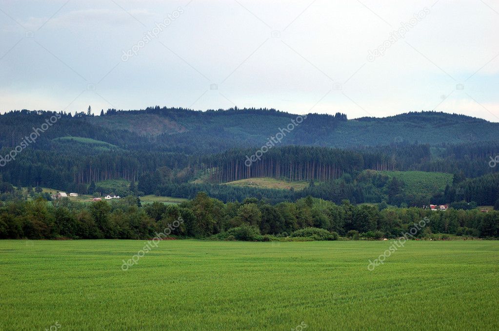 Landscape with field, trees, mountains, and overcast sky