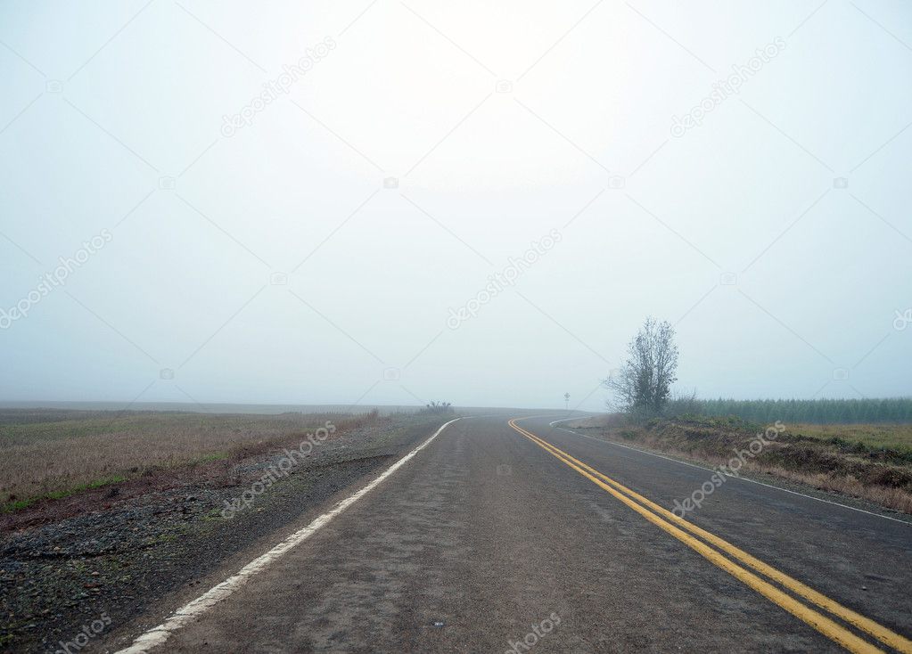 An untouched road in rural country land on a white gray foggy day in winter.