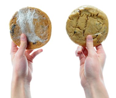 Two hands holding two cookies that are packaged n shrink plastic wrap isolated on a white background clipart