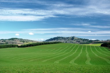 Green field freshly cut with lawn lines showing. Blue sky and green grass with mountains in between. clipart