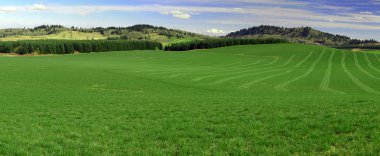 Panorama view of Green field freshly cut with lawn showing. Blue sky and green grass with mountains in between. clipart