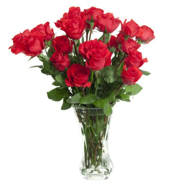 Two dozen red roses isolated on white background with the green stems in a large glass vase with water. Copyspace on all four sides. clipart