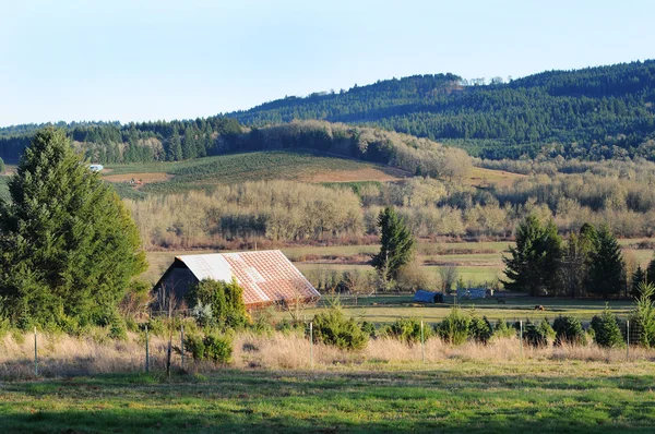 Ülkenin kırsal ahır çiftlik — Stok fotoğraf