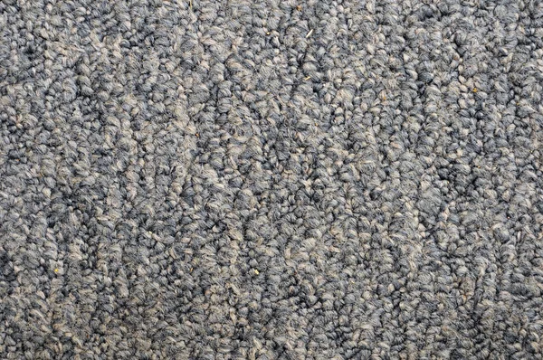 Plain Standard Gray Blue Short Carpet Ground Floor — Stock Photo, Image