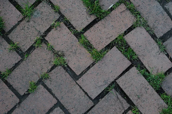 Brick pattern with grass — Stock Photo, Image