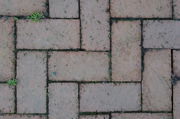 Old Brick Pattern Zigzag Design Grass Growing Cracks — Stock Photo, Image