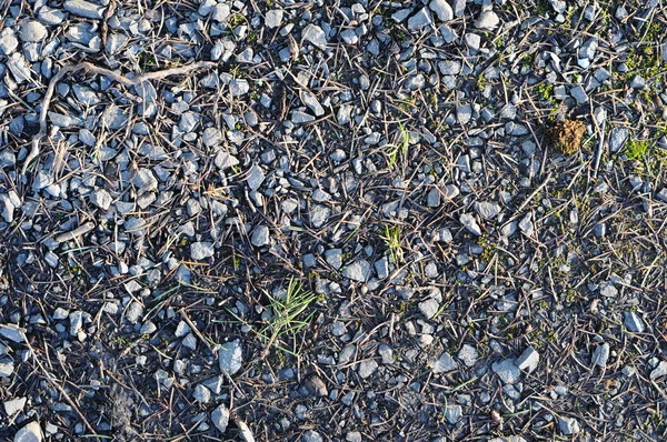 พื้นผิวหิน — ภาพถ่ายสต็อก
