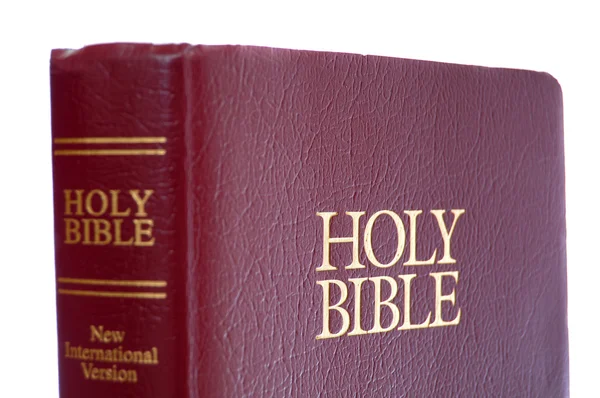 新的国际版本的圣经与孤立在白色背景上的红色皮革封面 — 图库照片