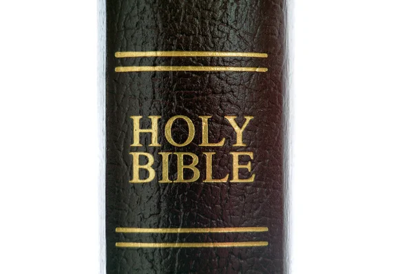 Holy Bible Spine Book Showing Words Holy Bible Isolated White — Stock Photo, Image