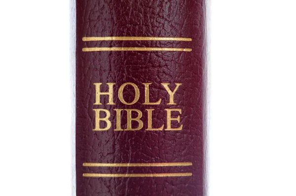 Holy Bibile — Stock Photo, Image