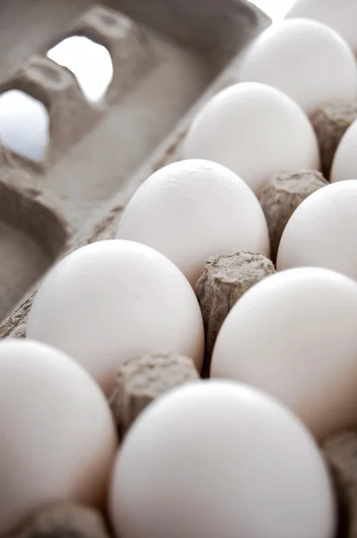 Eier im Eierkarton — Stockfoto