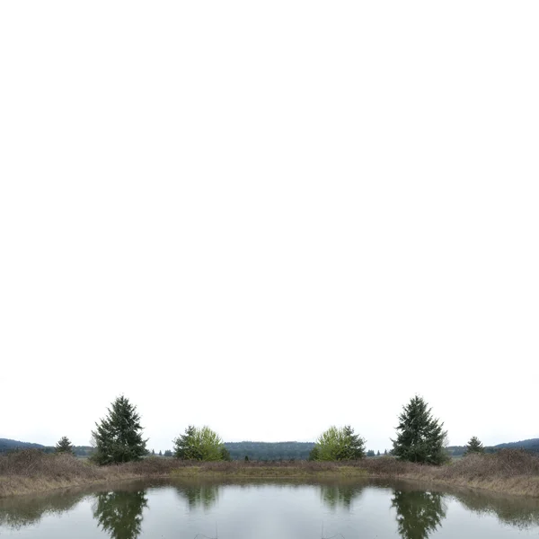 Kleiner Teich Mit Zwei Bäumen Und Ihrer Spiegelung Wasser — Stockfoto