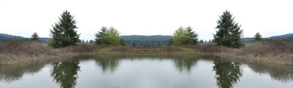 Pond — Stock Photo, Image
