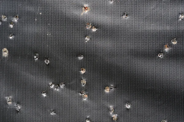 Arrow Holes Black Tarp Practice Target Archery Also Looks Bullet — 스톡 사진