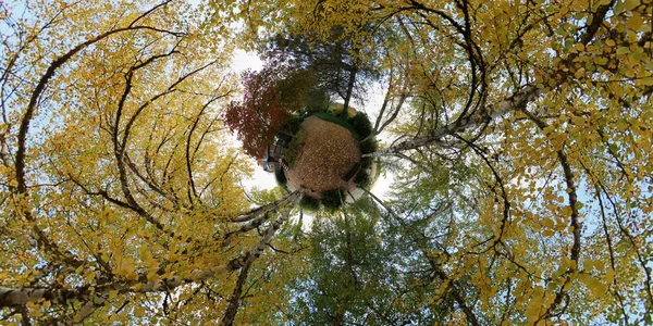 Little Miniature Planet Large Trees Yellow Leafs Them — Stock Photo, Image