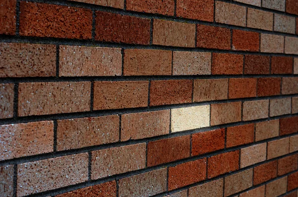 Lots Bricks Wall Only One Bright One — Stock Photo, Image