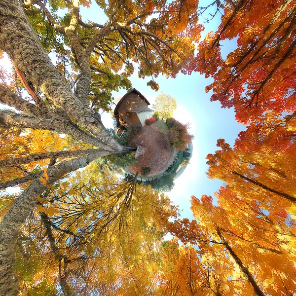 Pejzaż Planeta Streszczenie Dwóch Drzew Wyrastające Ziemi Październiku Jest Stereograficzny — Zdjęcie stockowe