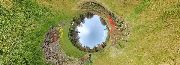 Сад Большом Травяном Поле Окруженный Кругом — стоковое фото