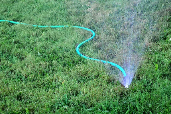 Sprinkler vattna gräsmattan — Stockfoto