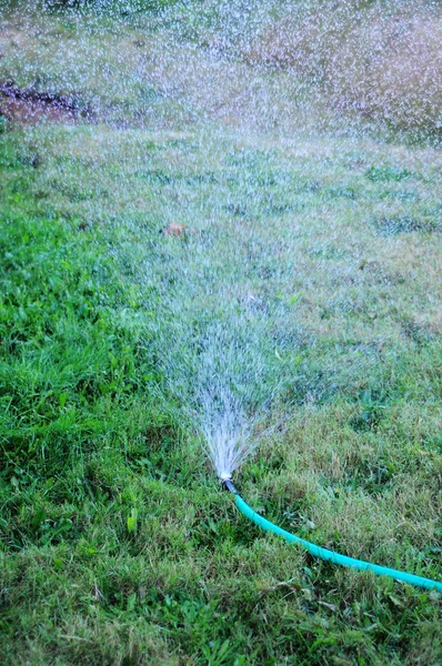 スプリンクラーが芝生の庭に水をまく — ストック写真