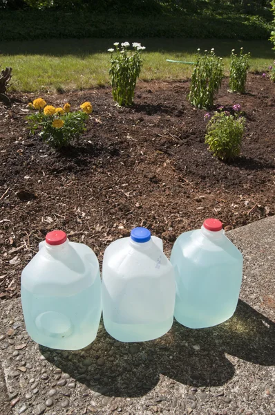 Blue Plant Fertilizer Liquid — Stock Photo, Image