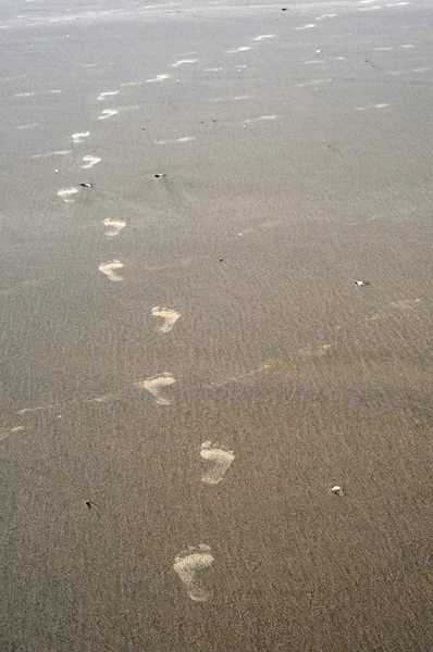 Kroki w piasku — Zdjęcie stockowe