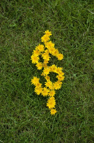 Money Symbol Written Yellow Dandelion Flowers Green Grass Background Copyspace — Stock Photo, Image