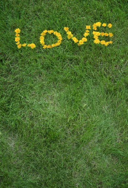 Miłość Napisał Żółte Kwiaty Mniszek Zielonej Trawie Tła Miejsce Poniżej — Zdjęcie stockowe