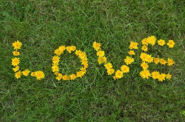 Liefde geschreven met bloemen in het gras — Stockfoto
