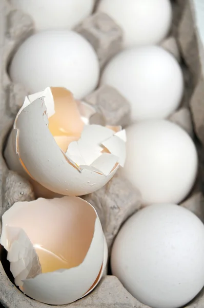 Ausgebrütete Eier — Stockfoto