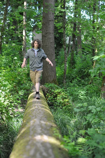 森の中を歩く — ストック写真