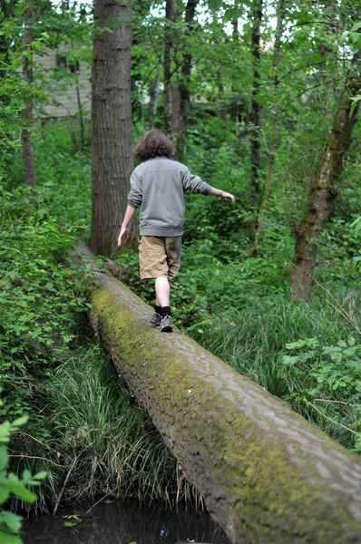 Chůze na padlý strom v lese — Stock fotografie