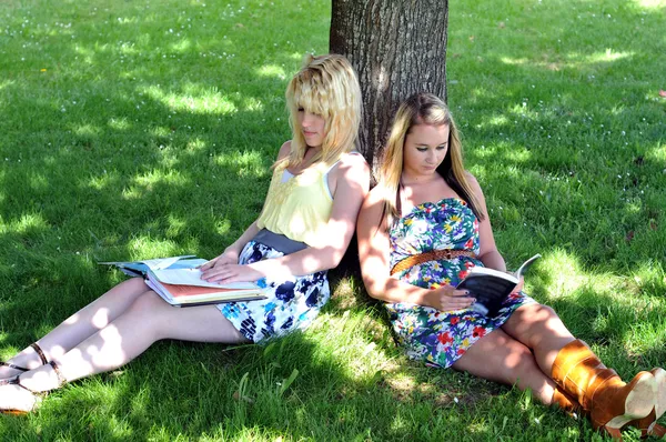Meninas lendo livros sob a árvore na sombra — Fotografia de Stock