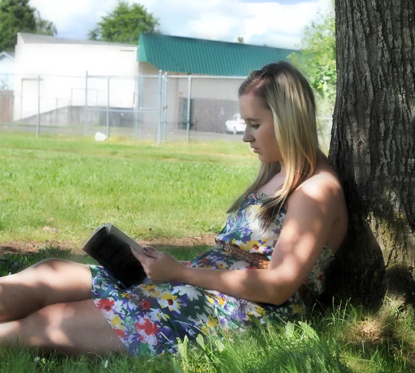 Genç Beyaz Beyaz Genç Kız Kitap Okuyarak Gölgede Bir Ağacın — Stok fotoğraf