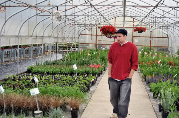Man looking at plants inside of greenhouse nursery — Stock Photo, Image