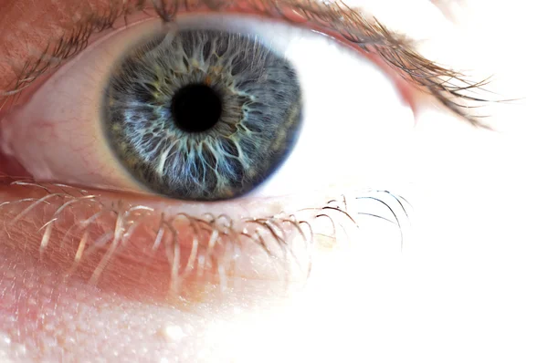 Zbliżenie makro niebieski oko — Zdjęcie stockowe