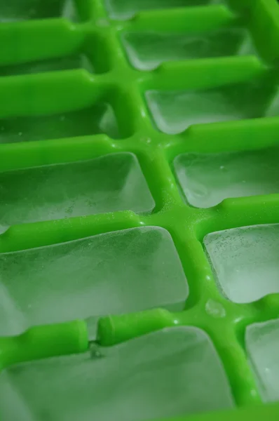 Ice cube tálca — Stock Fotó