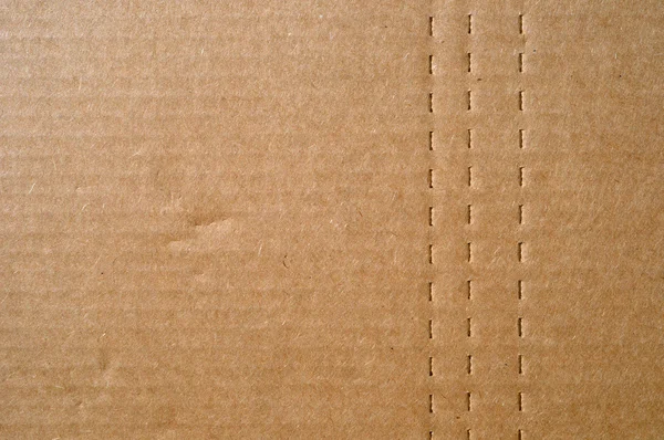 Cardboard with Perforated Lines — Stock Photo, Image
